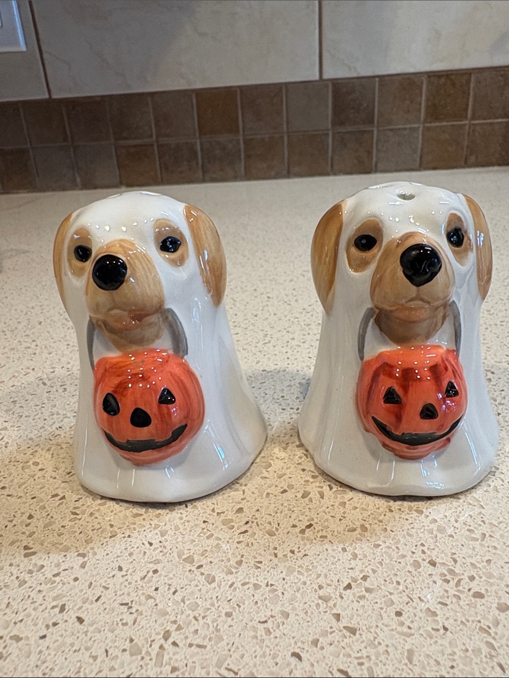 Ceramic Dog Ghosts Halloween Salt and Pepper Shakers - White and Orange NIB